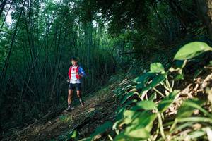 BIB: 
                            <button type="button" onclick="openModal(28123352)" class="btn btn-primary btn-sm float-right btn-popup" data-toggle="modal" data-target=".modal-high-quality">
                        <i class="fas fa-shopping-cart"></i> Add to Cart
                    </button>
                                            <button type="button" onclick="isThisMe(28123352, true)" class="btn btn-success btn-sm float-right btn-popup btn-isme hidden" data-toggle="tooltip" data-placement="bottom" title="นี่คือรูปของคุณใช่ไหม คลิกที่นี่เพื่อเอาเข้าอัลบั้ม">
                        <i class="fas fa-plus"></i> Add to album
                    </button>
                    <button type="button" onclick="isThisMe(28123352, false)" class="btn btn-warning btn-sm float-right btn-popup btn-isnotme hidden">
                        <i class="fas fa-ban"></i> Remove from album
                    </button>